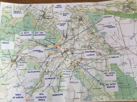 parcelles du champagne Apollonis de Michel Loriot