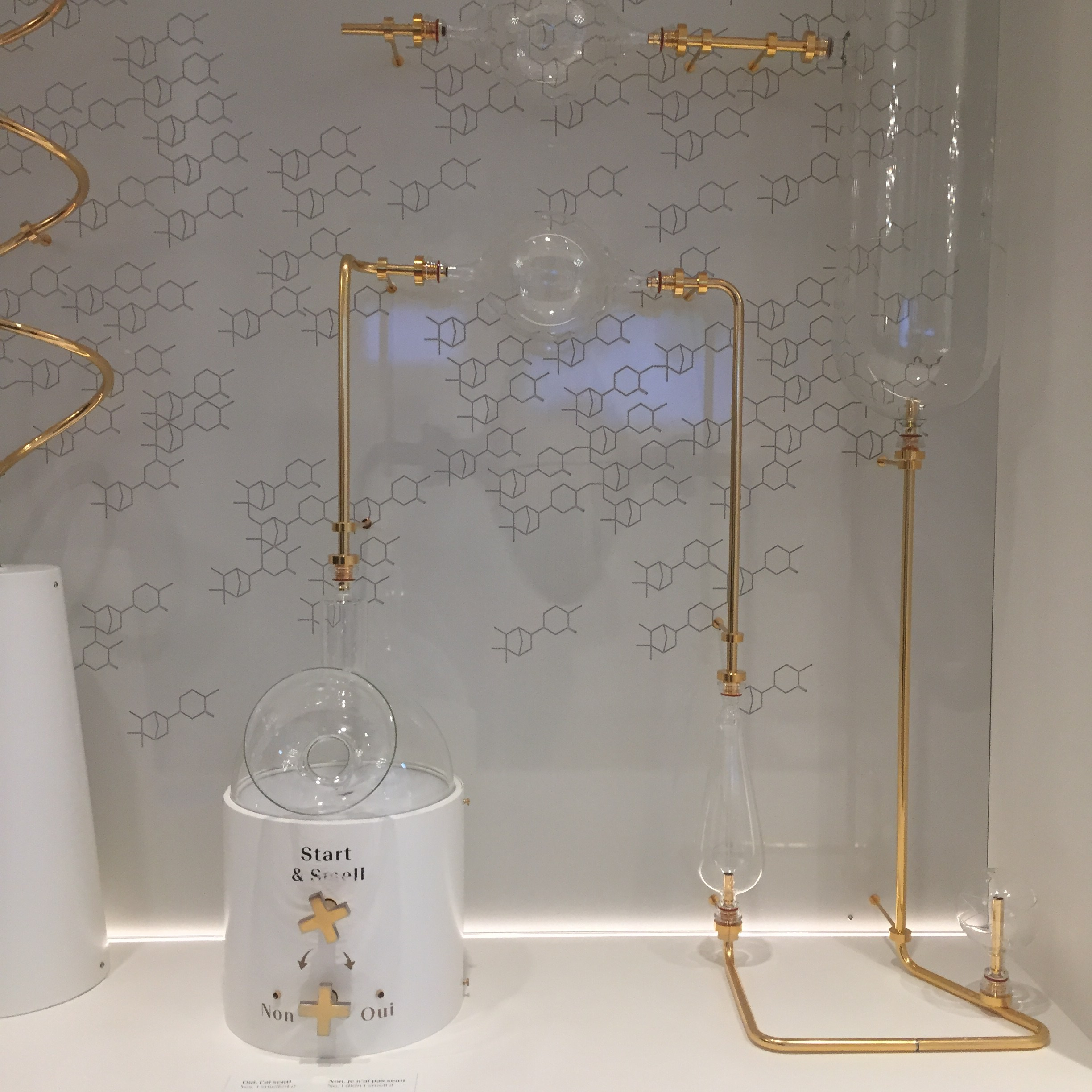 expérience olfactive au Grand Musée du Parfum